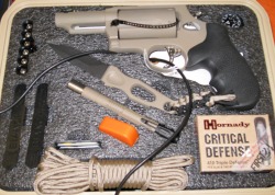 Pre-made survival kit