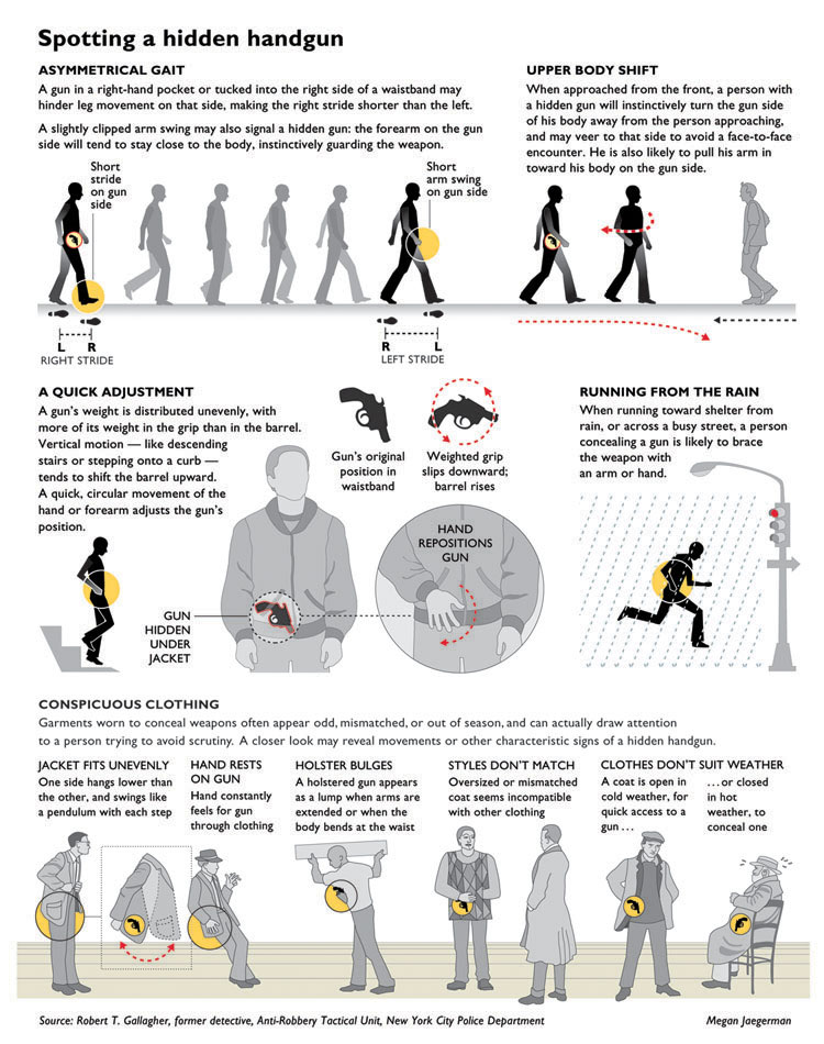 carrying concealed infographic