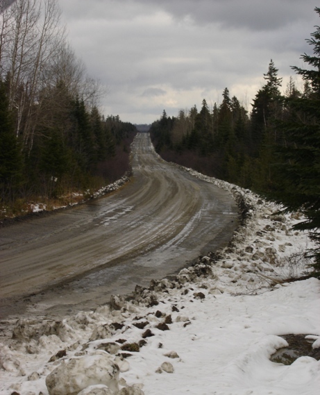 north woods road