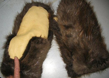beaver mittens