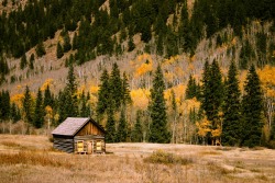 cabin_aspens_bug_out