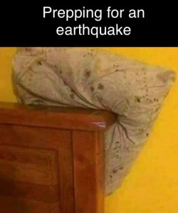 prepping for earthquake