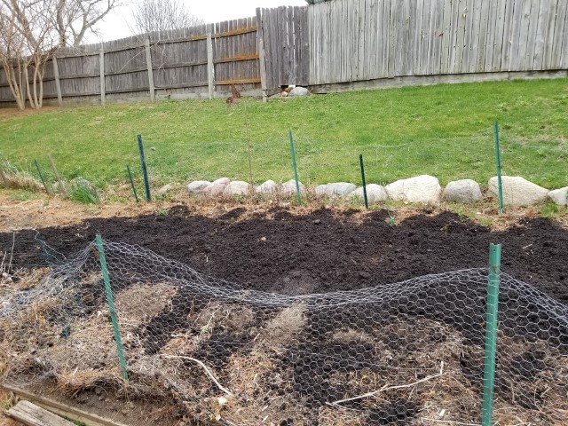 composted manure in a shtf garden