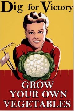 dig for victory grow vegetables poster