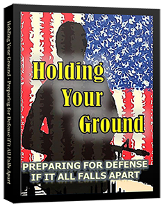 Holding Your Ground 3D cover