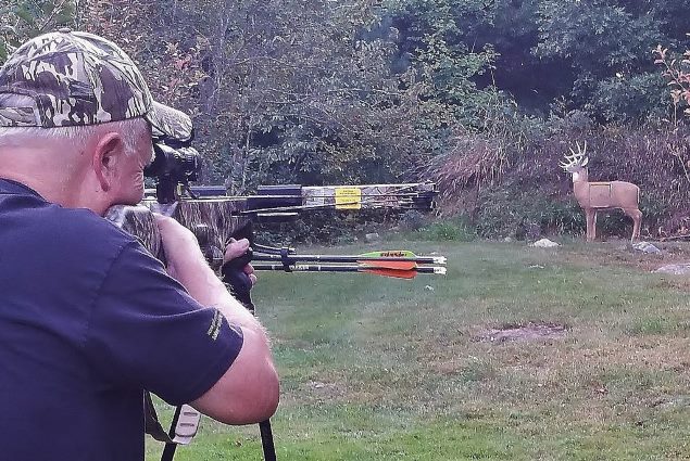 crossbow shooting deer target