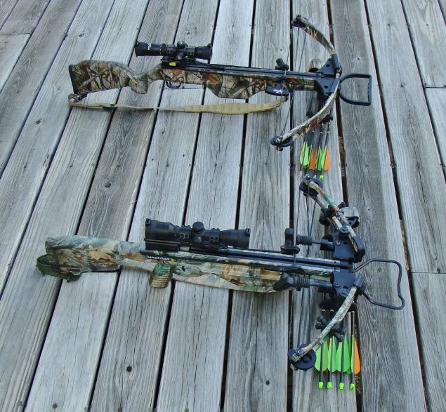 two crossbows