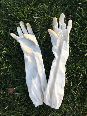 beekeeping gloves