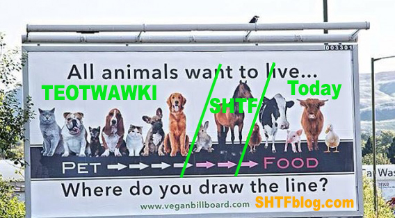 where draw line billboard vegetarian PETA
