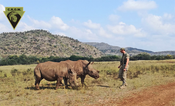 CROW anti-poacher rhino