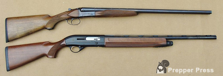 two 20 gauge shotguns