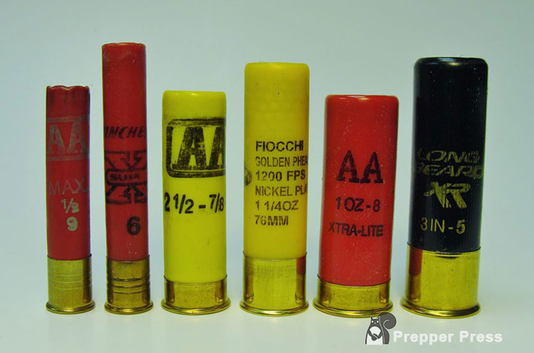 various shotgun shells