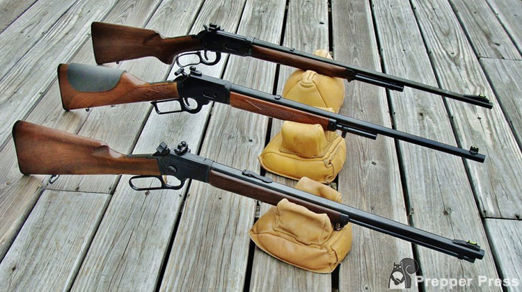 3 Lever guns with iron sights
