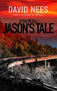 After the Fall by David Nees