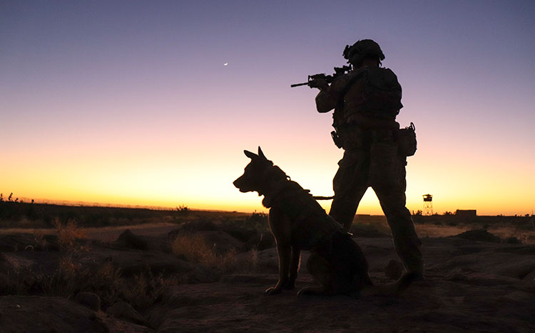 soldier with military working dog
