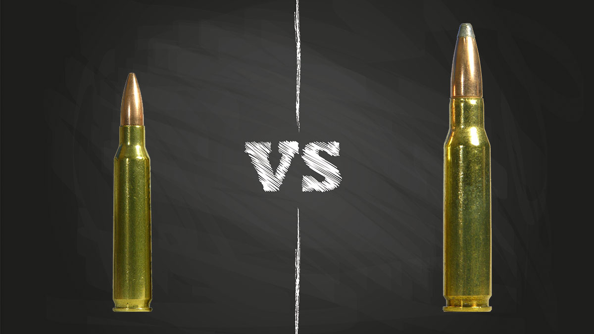 223 vs .308 - Which Caliber is Best? 