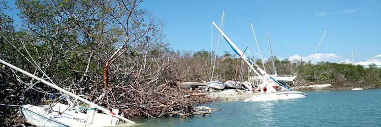 Florida Keys after Hurricane Irma