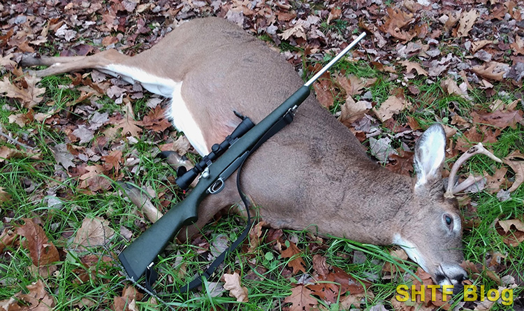 Deer shot with a .243