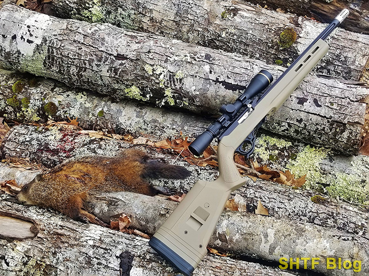10-22 scope with woodchuck