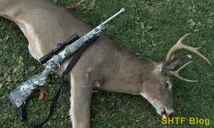 deer shot with .330 blackout