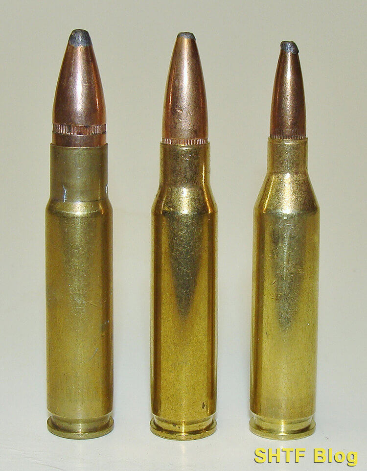 various .308 cartridges